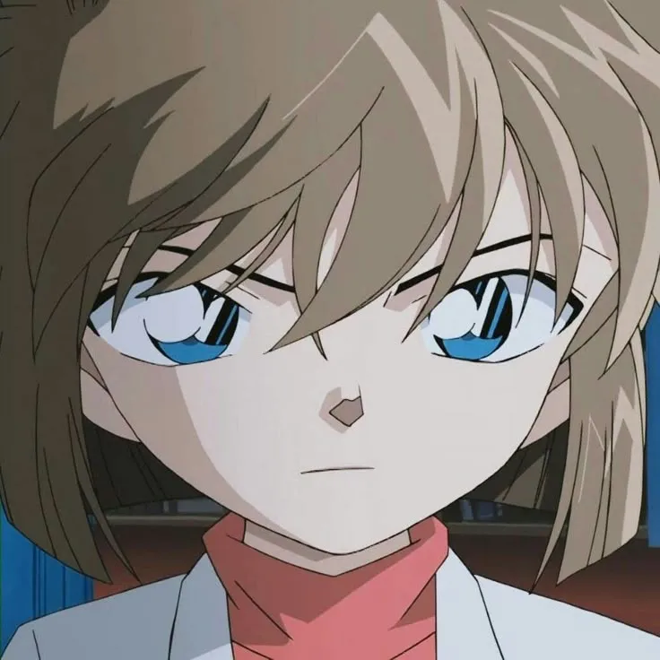 Detective Conan Character Ranking Bracket