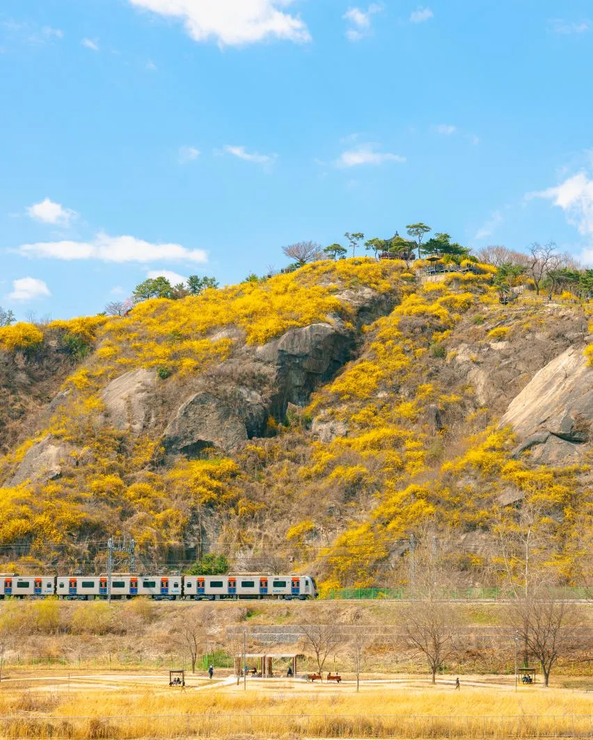 Ranking of Hiking Destinations in Korea