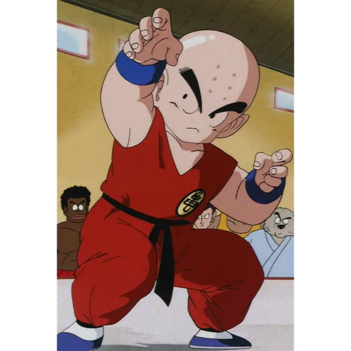 Dragon Ball Character Bracket – Pick Your Favorite Character